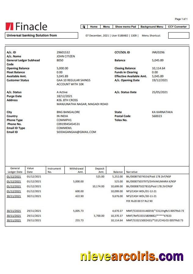 India Finacle bank statement easy to fill in Word and PDF format